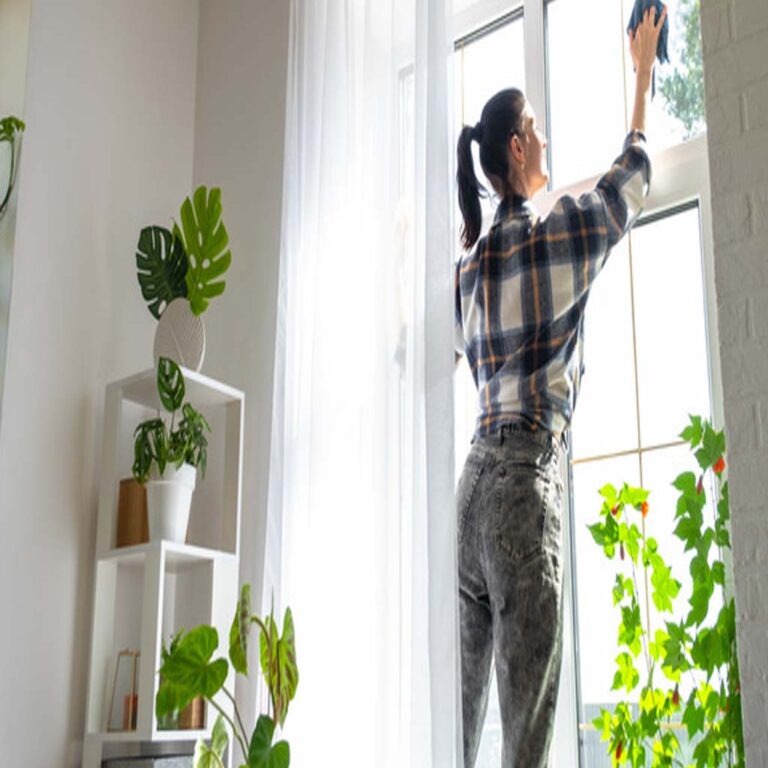 التنظيف والصحة البيئية ودورهما في تحسين جودة الحياة داخل المنازل